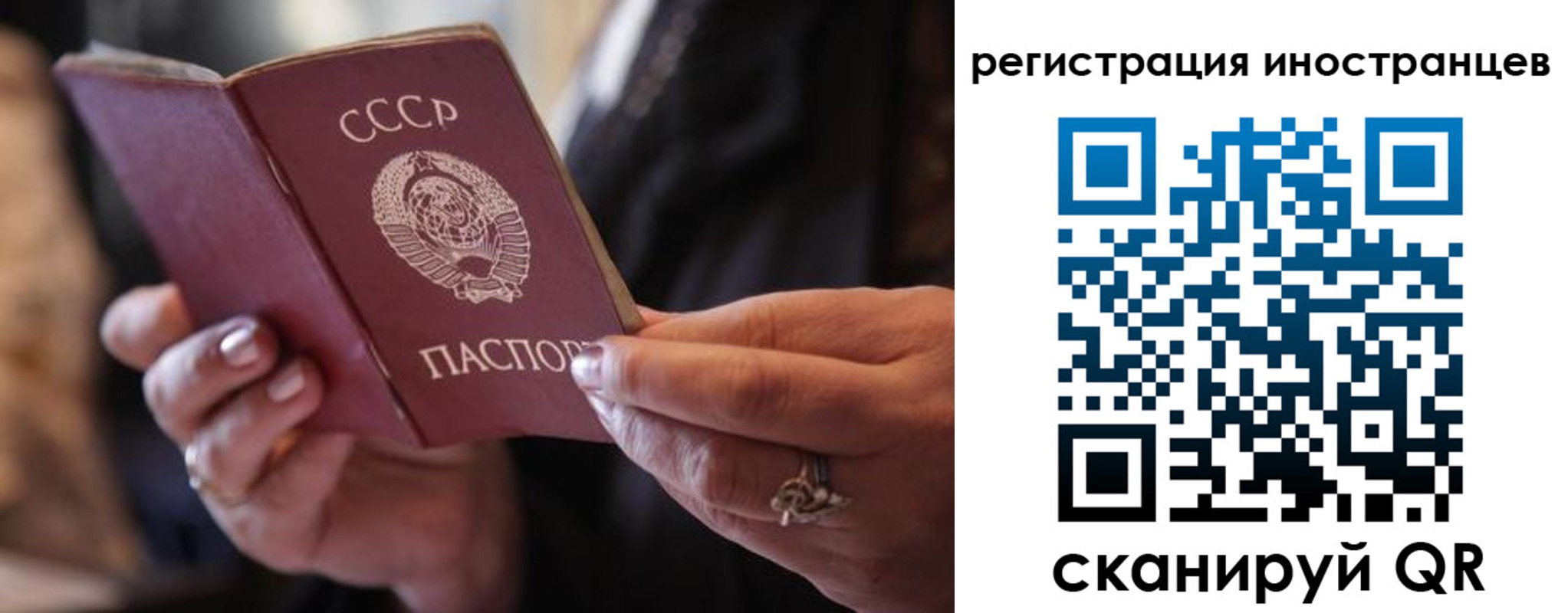 где прописаться в Пионерском